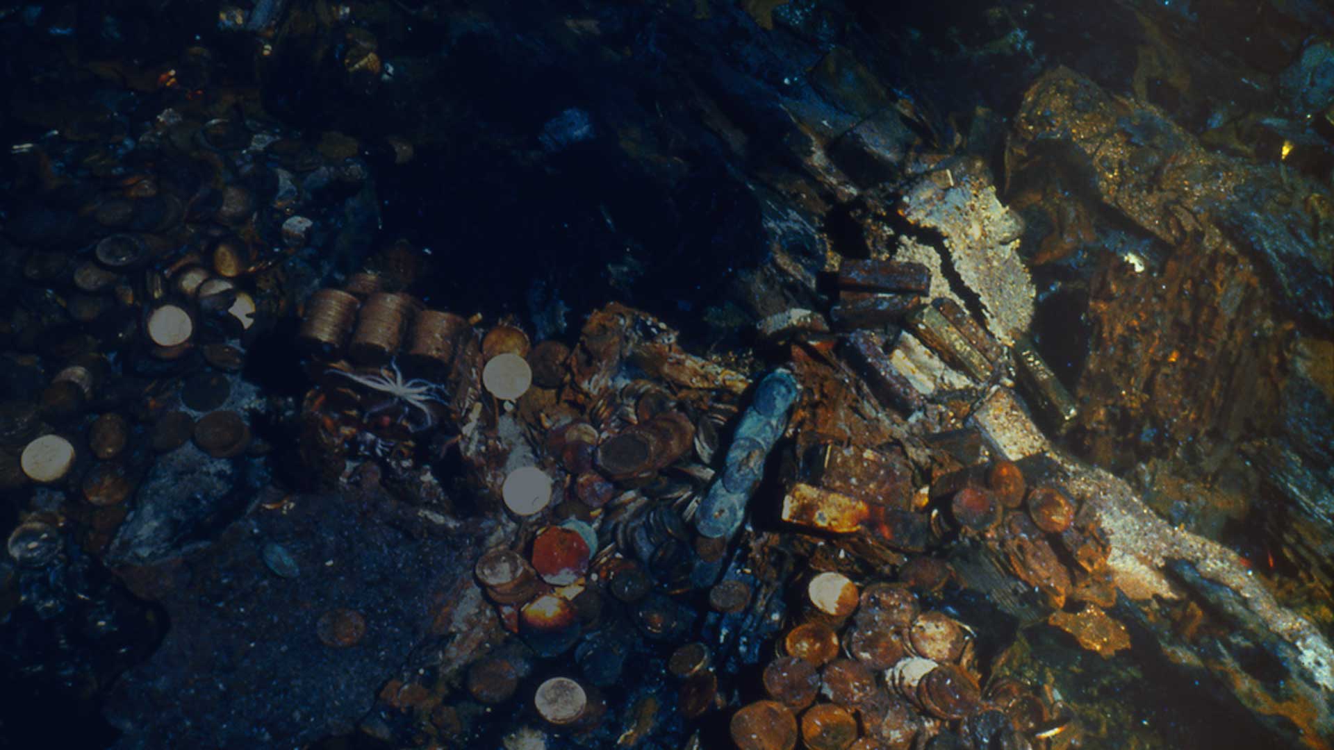 The Eureka Bar, the world's largest California Gold Rush bar, recovered from the SS Central America.